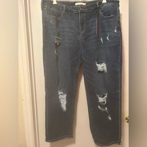 Glitzy Girlz Jeans, Women’s Plus Size 22W